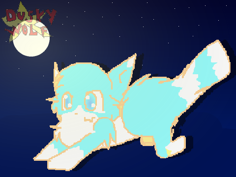 midnight cat