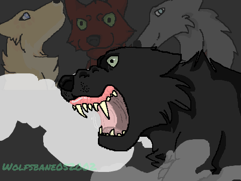 Random computer doodle...with wolves!