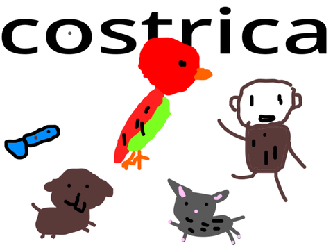 Animal Drawings