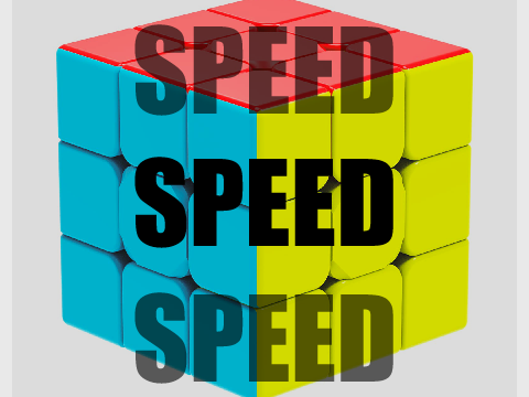 TN For Speed Studio