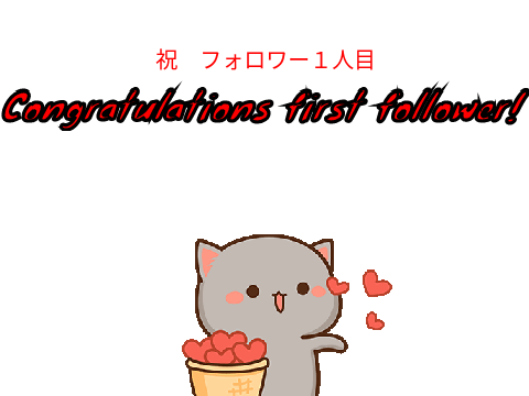 祝フォロー1人目/Congratulations first follower!