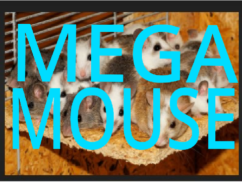 MEGA_MOUSE INTRO