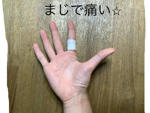 指を怪我してしまったーーー