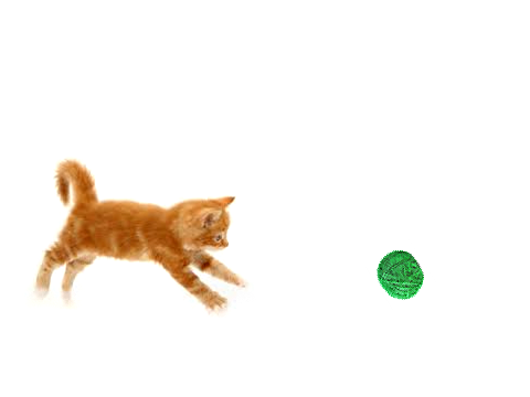 MAKE KITTY MOVE!!!!!!! :D remix