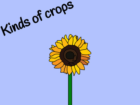 Kinds of crops