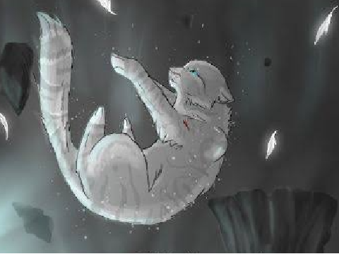 YOU GOTTA SAVE THE CAT!!!