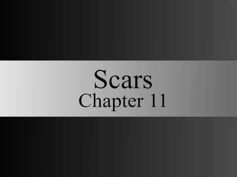 Scars // Chapter 11