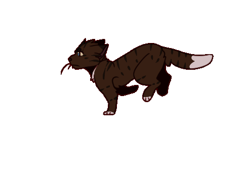 hawkfrost running