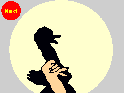 Shadow Puppets
