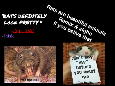 Save the rats campaign I SIGNED remix
