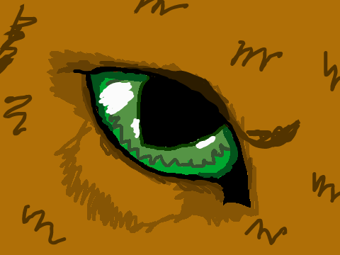 3rd drawing of a cat eye