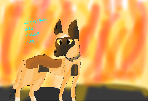 max art