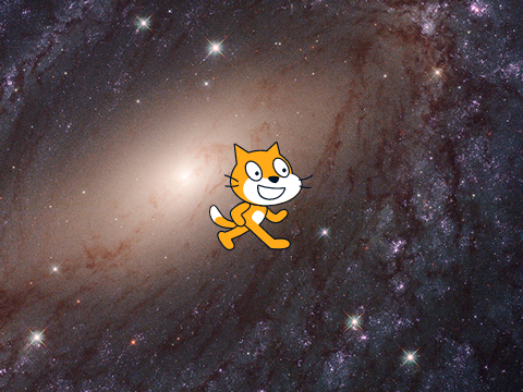 cat in space