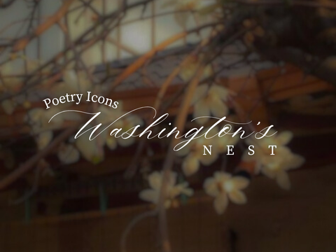 washington's nest — poetry icons