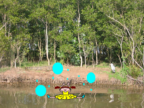 A Swim in the Lake