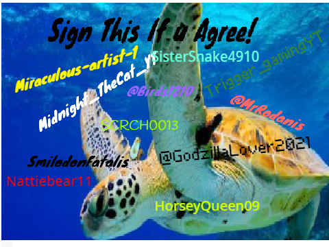 Stop Hunting the turtles remix and sign if u agree! remix remix remix remix remix remix remix… remix