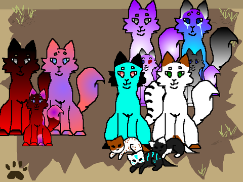 breed cats in the Spring Group!