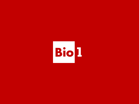 Bio 1 - Ident (2022, Proposed)