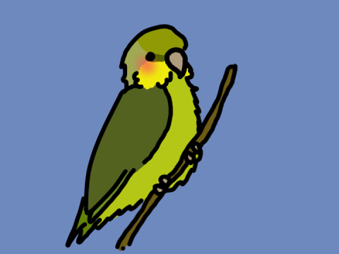 Pfp for budgies_RULE555555 