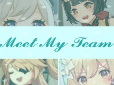 Meet my Team
