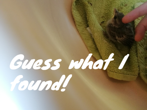Guess what I found!