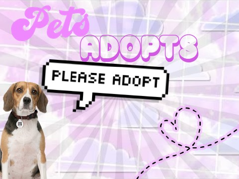 Pets Adopt