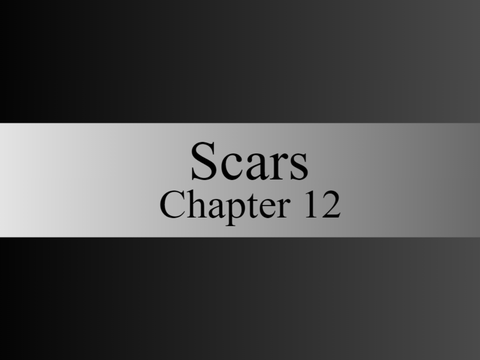 Scars // Chapter 12