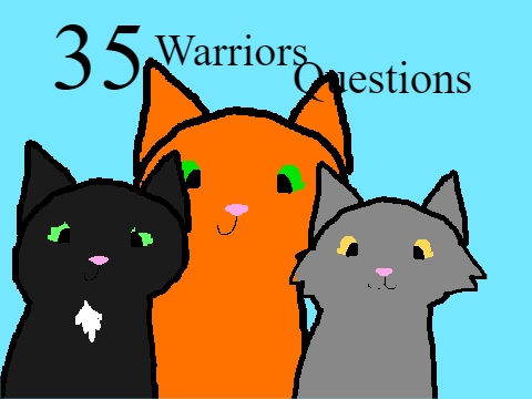 35 Warriors Questions That I Answered