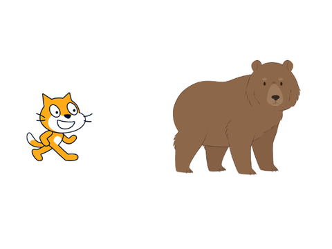 猫と熊どっちが好き？