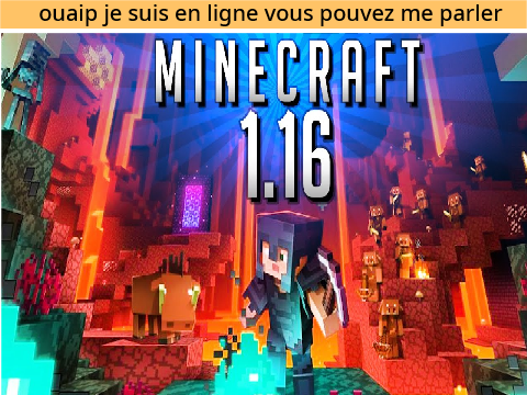 suis-je en ligne ? remix