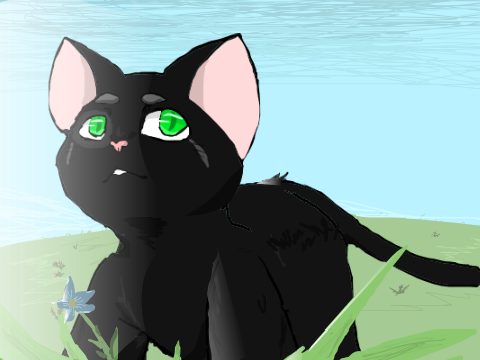 Minuscule animation