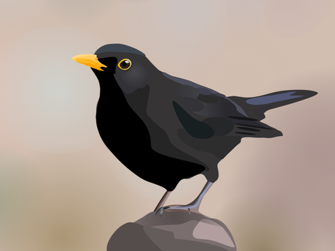 Art for the SB-Art-Dump June 22 - Blackbird
