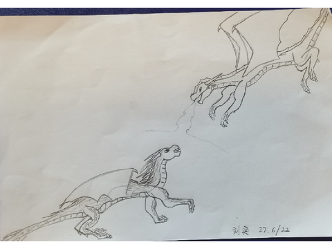 Sandwing vs Icewing art