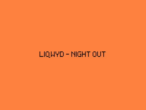LIQWYD - Night Out (Perfect Edition)