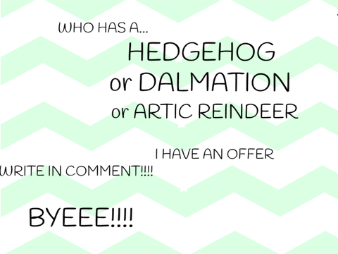 WHO HAS HEDGEHOG OR A DALMATION or ARTIC