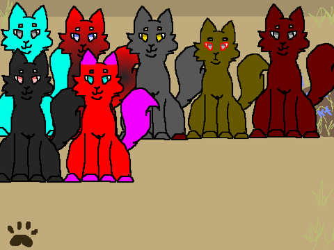 Breed cats in Thunderclan