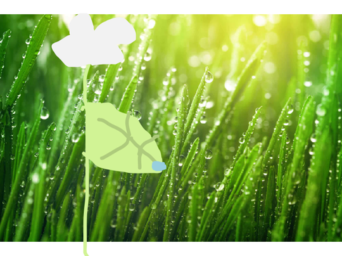 A water drop falling of a leaf