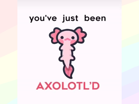 You've just been Axolotl'd again :D remix remix remix remix remix remix
