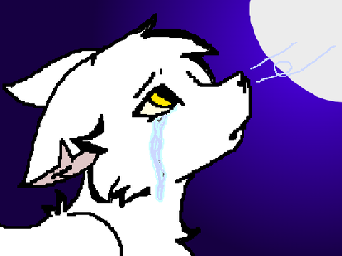 Summergaze My OC~ Faded the song