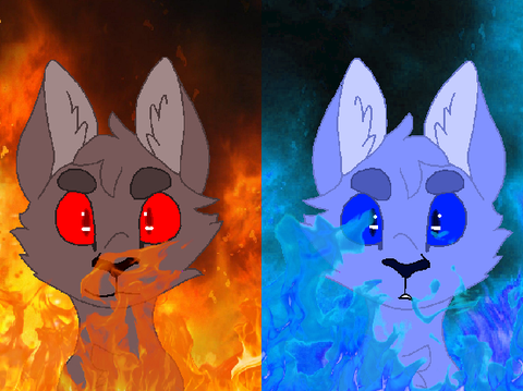 Completely random cats~ Burn the House Down the song