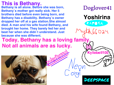 Sign to Stop Animal Abuse! remix
