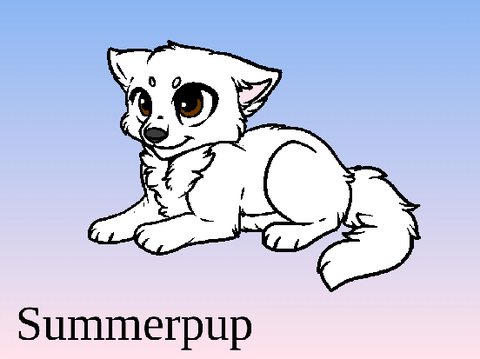 Summerpup/Summergaze~