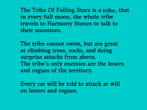 Tribe Of Falling Stars RPG - Map & Info