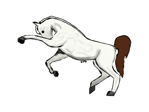 Horse registeration