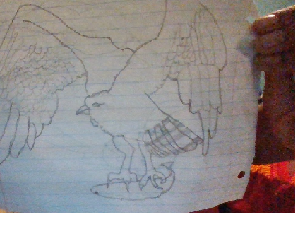 osprey drawing