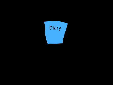 The diary