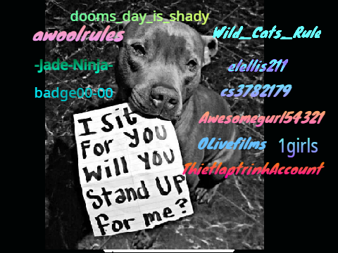 Remix and sign if you hate animal cruelty!! remix remix remix remix remix remix remix remix r… remix