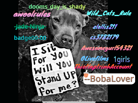 Remix and sign if you hate animal cruelty!! remix remix remix remix remix remix remix remix r… remix