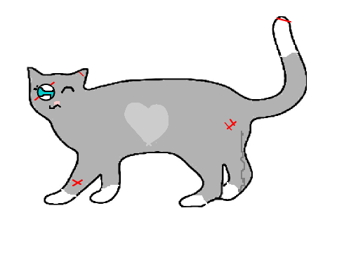 cat colouring contest still open remix =3