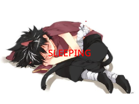 OFFLINE SLEEPING OR NAPPING
